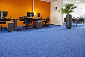 Mẫu thảm trải sàn giá rẻ văn phòng làm việc